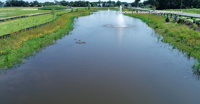 Screen Shot 2026 01 12 At 53008 Pm