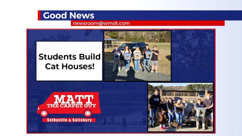 Students Build Cat Houses