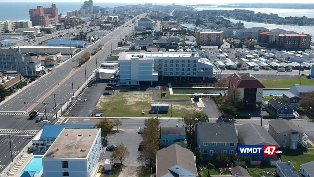 Mlk Dreamfest Is Back