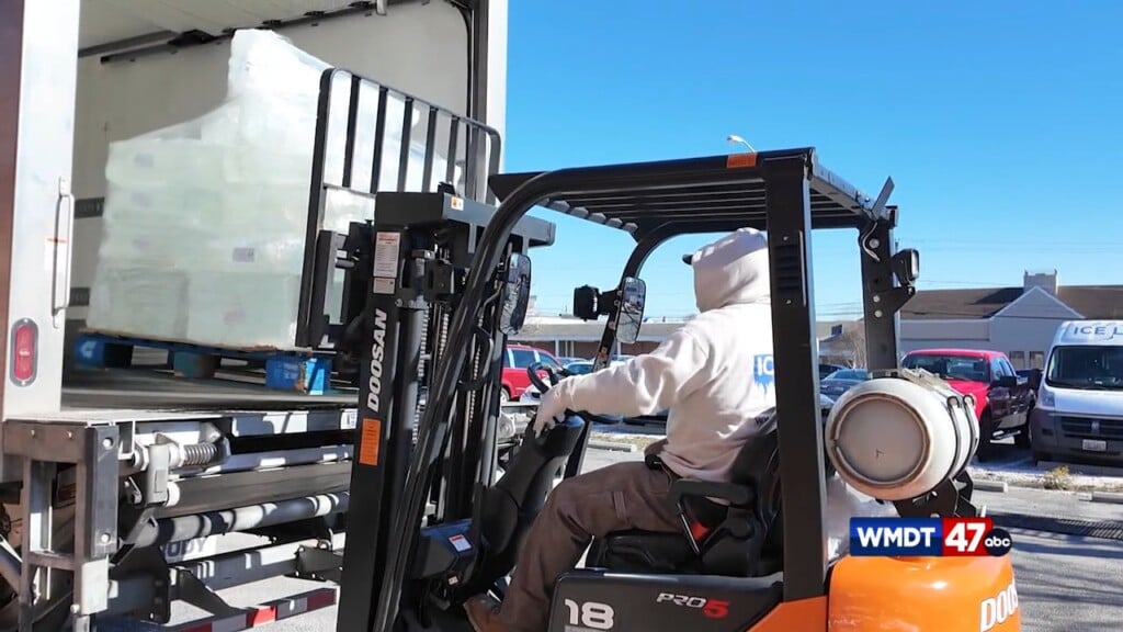 Oysterfest 2026 Wrap Up