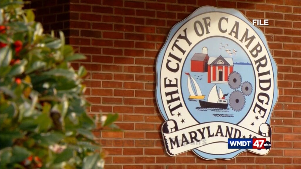 Cambridge Eyes Sewer Repairs