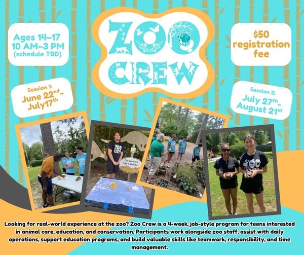 631966492 1376252291212920 6881301631600245226 N