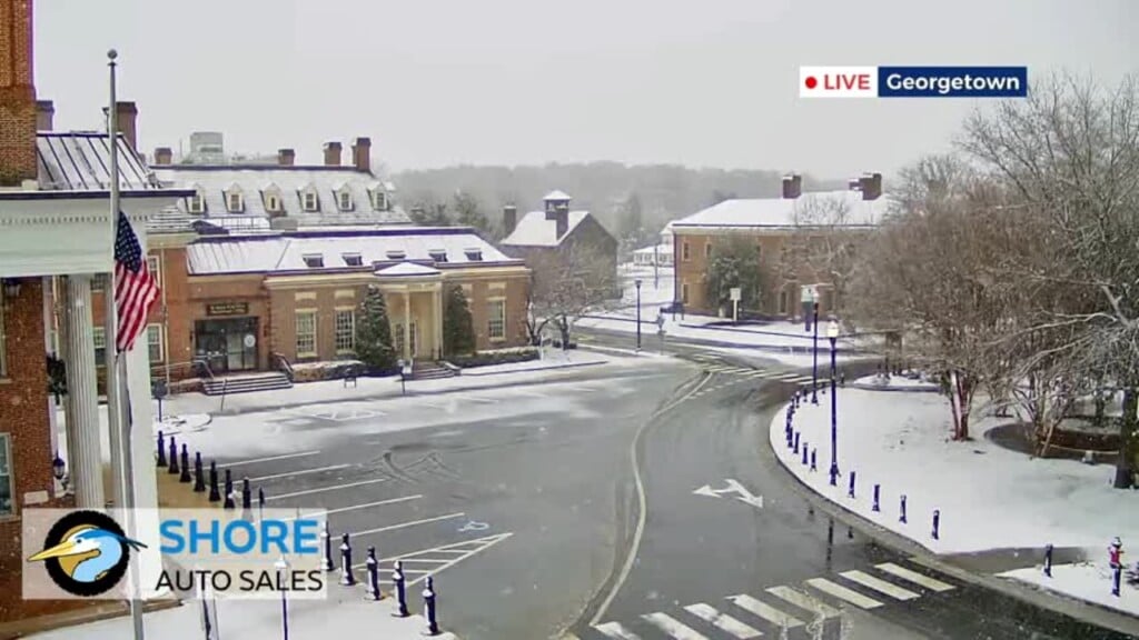 Afternoon Forecast (02/22/26)