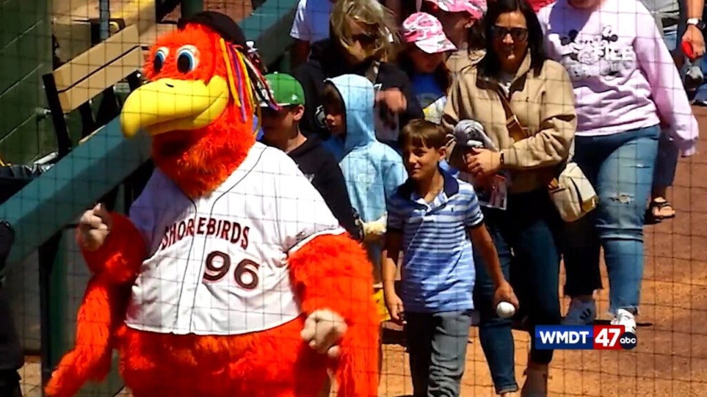 Shorebirds Host Job Fair