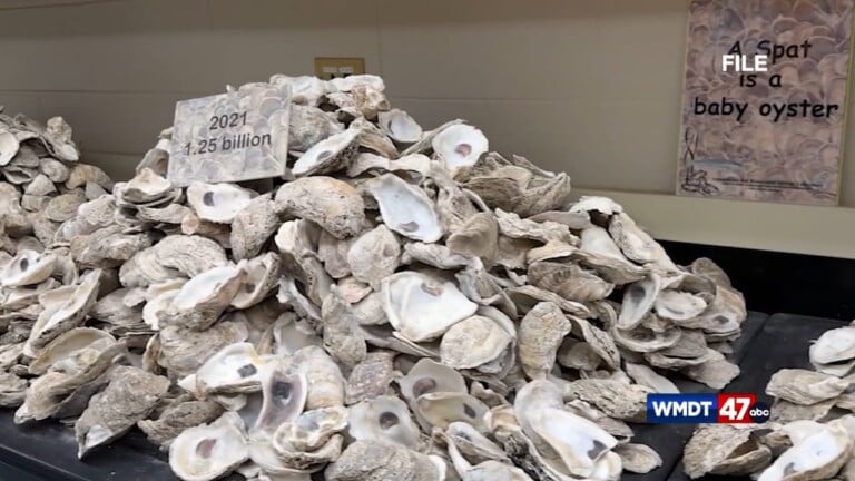 Oyster Processing Facility