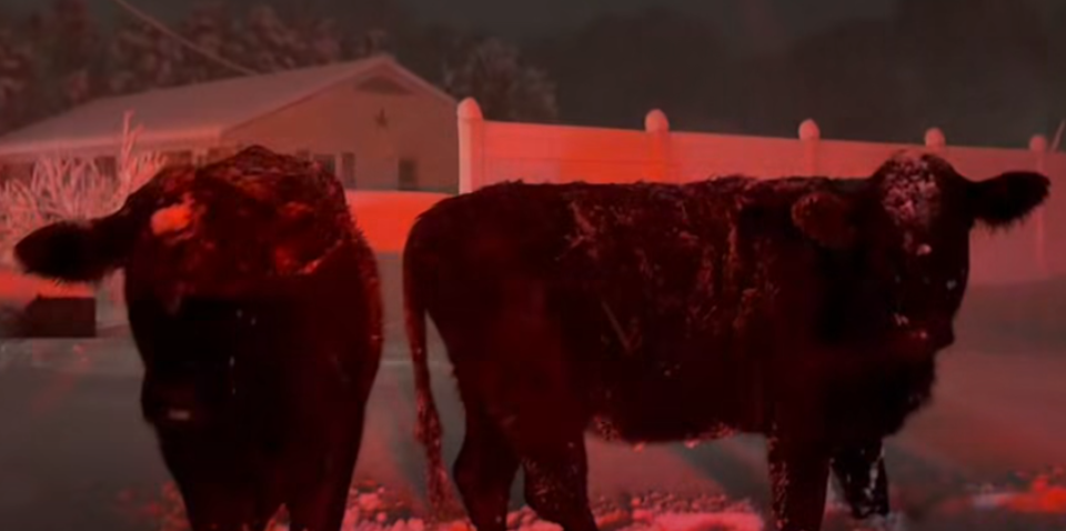 Screenshot 2026 02 23 093122