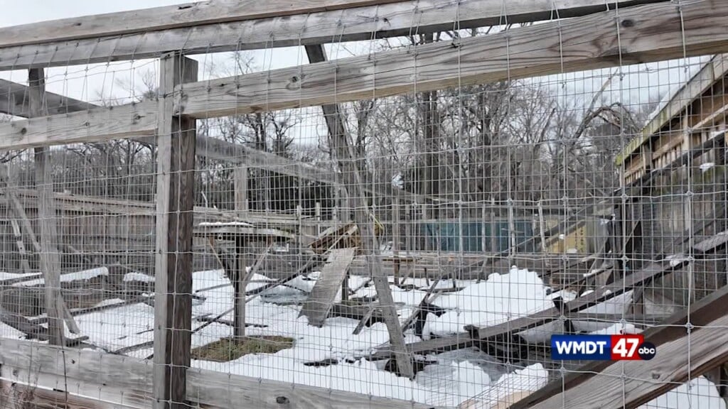 Coastal Wilds Seeks Community's Support