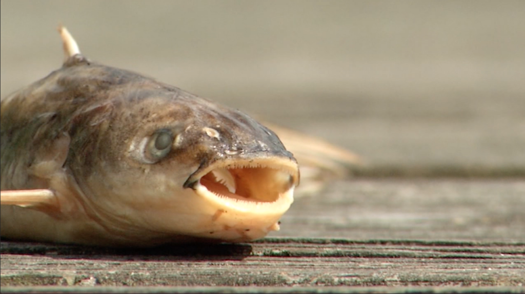 Screenshot 2026 02 02 At 92019 Pm