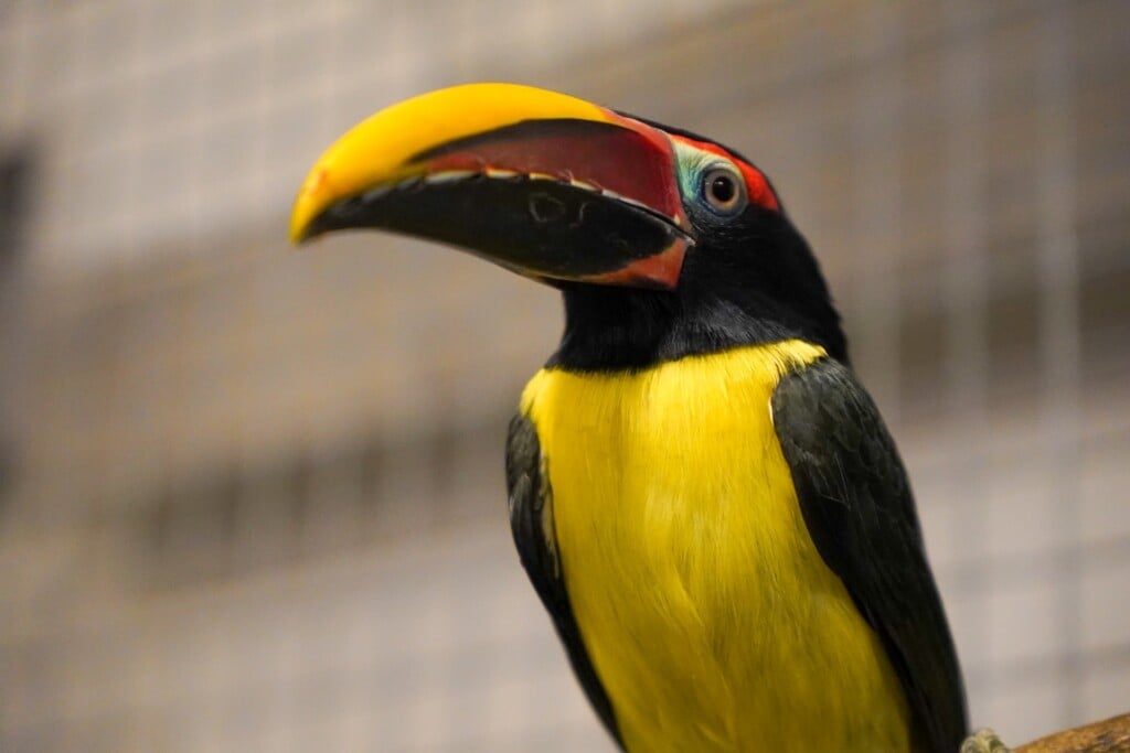 A60be7ad D01e 478d 9eb0 5f35969db3a5