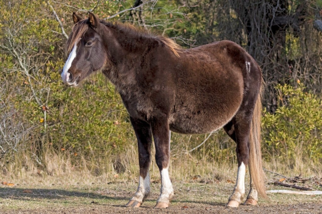 635298479 1368193828685428 8655305407651838643 N