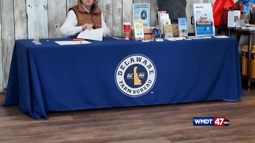 Dfb Safety Conference