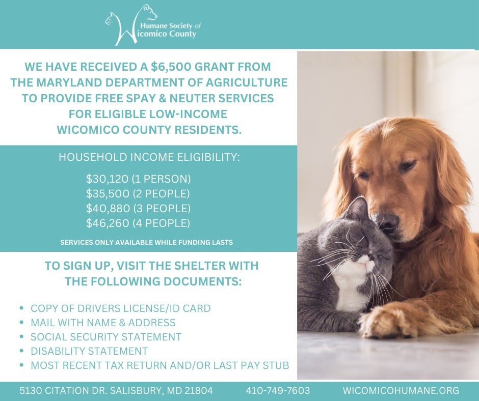 649179141 1335546418601713 6705431429848050299 N