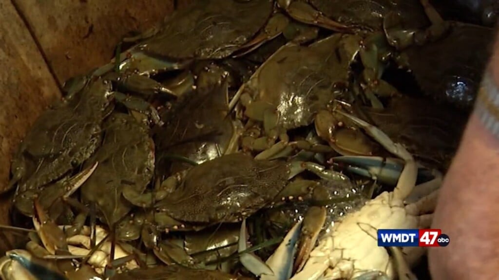 Federal Fishery Disaster Funding Request