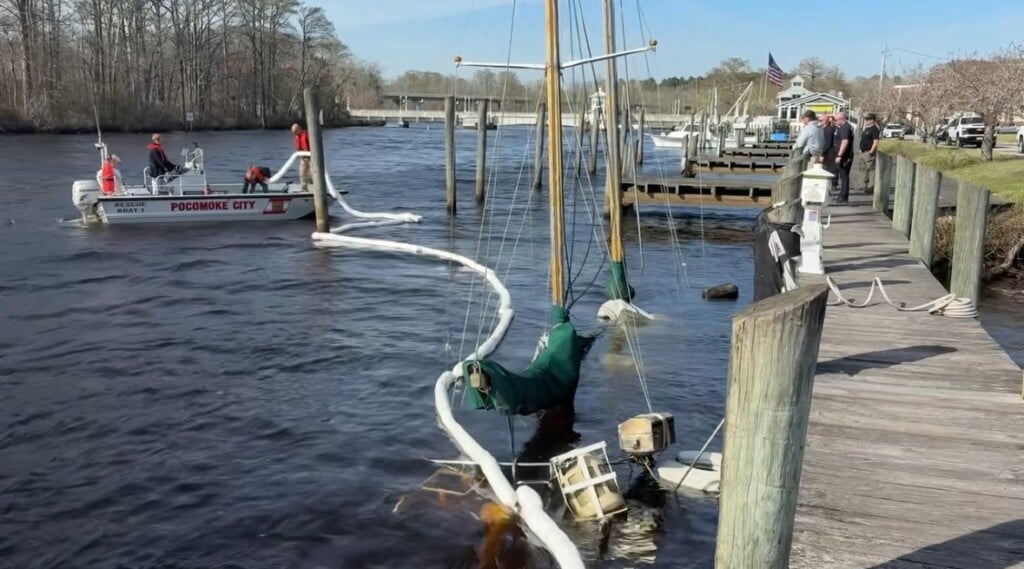 Cb12feaa Bae2 4b8c 8977 7c3ee803e857