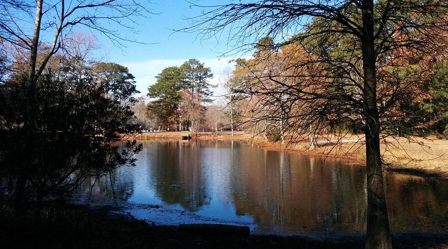 Pocomoke River State Park