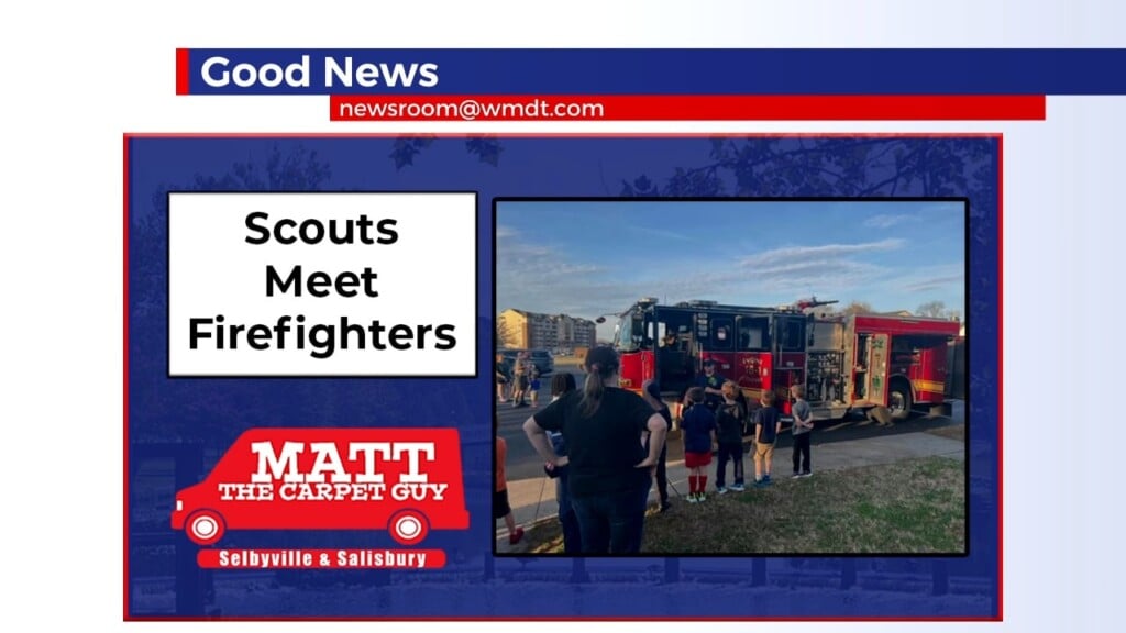 Scouts Meet Firefighter