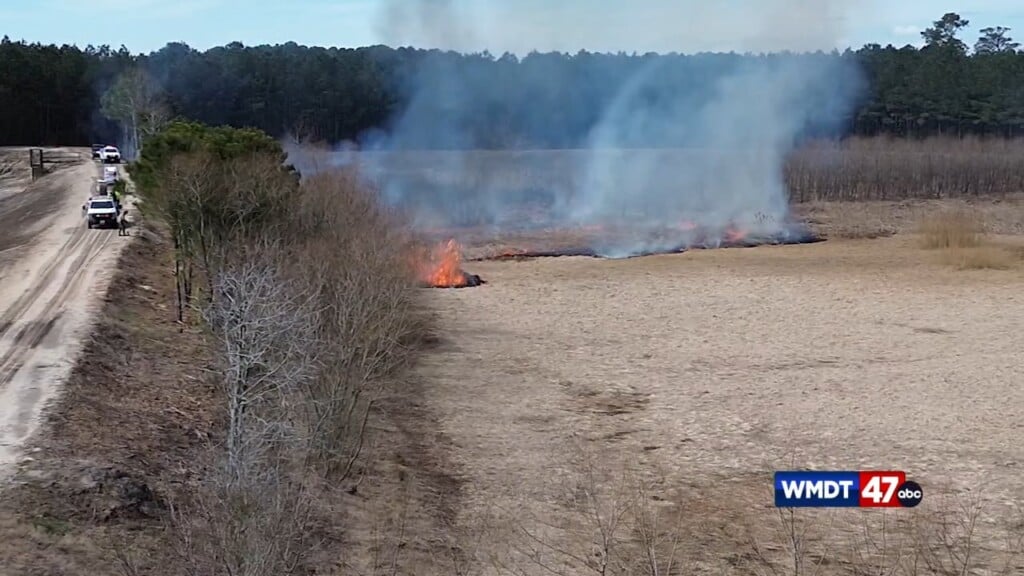 Perscribed Burns At Sharps Point Dredge Spoil
