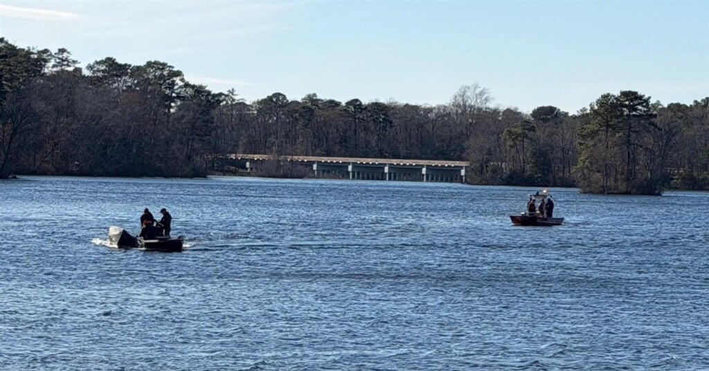 658706354 937905442181940 8032171304666989636 N