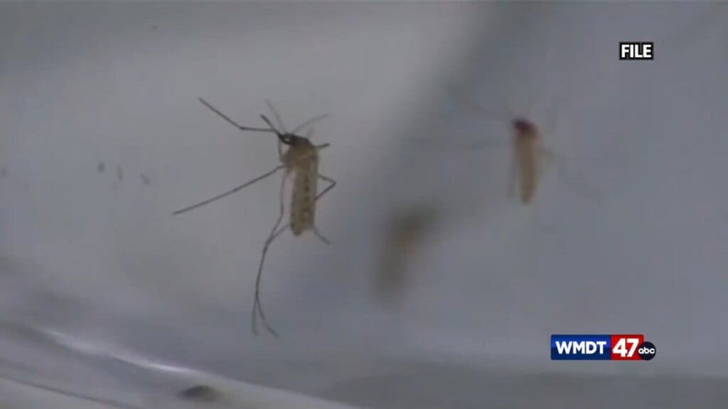 Tick And Mosquito Season