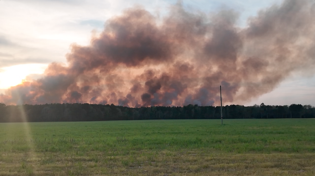 Screenshot 2026 04 15 At 93553 Pm