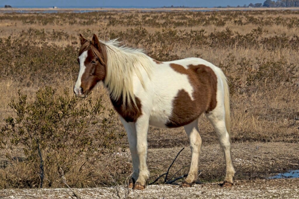 667787426 1411593577678786 8347498391178927658 N