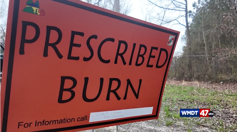 Screenshot 2026 04 10 172616