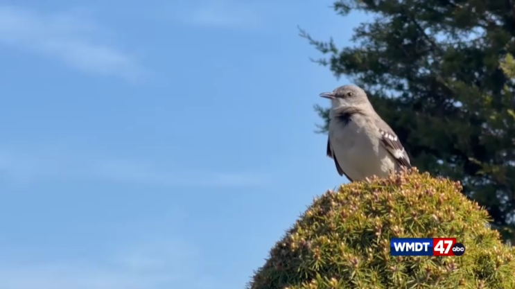 Screenshot 2026 04 08 110435