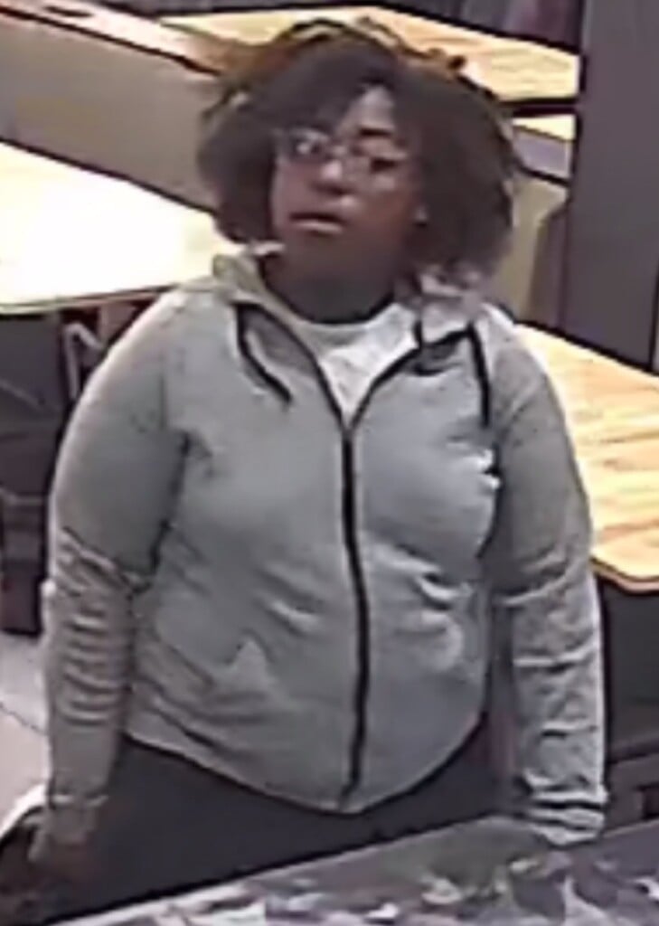 Suspected Driver; Image Courtesy of Worcester County Sheriff's Office