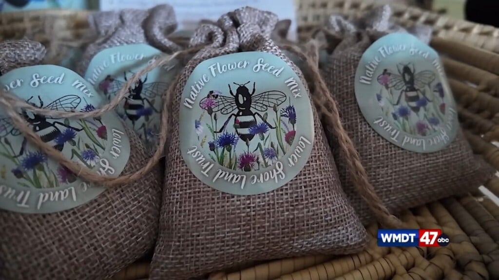 Lslt Native Plant Sale