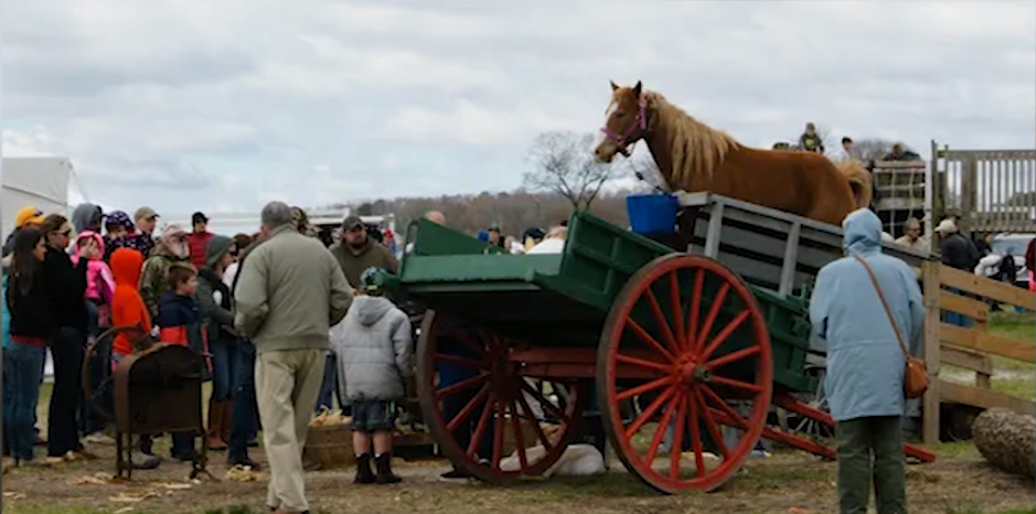 Screenshot 2026 04 10 143514