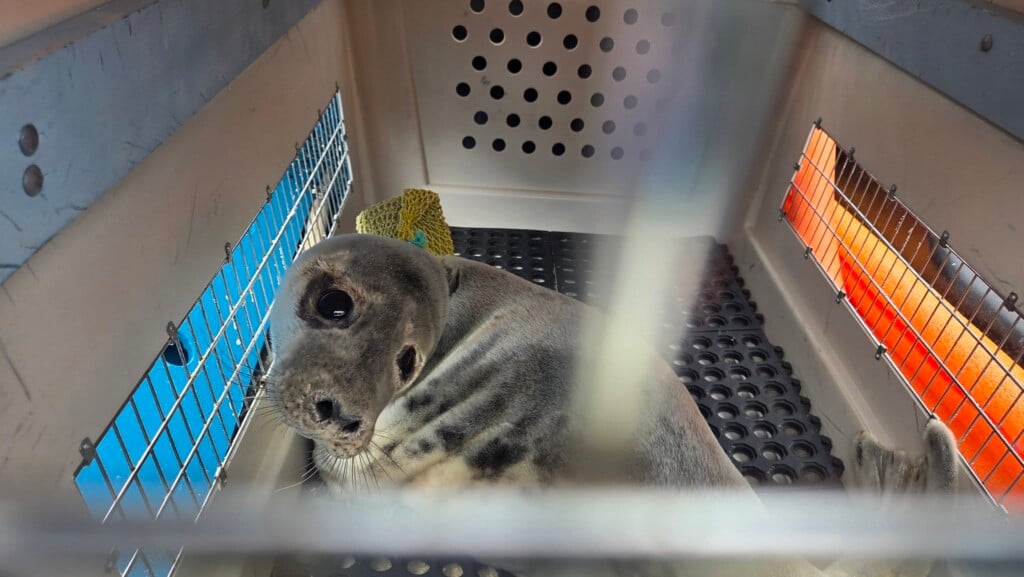 675023531 1416340073844781 6455659026269312055 N