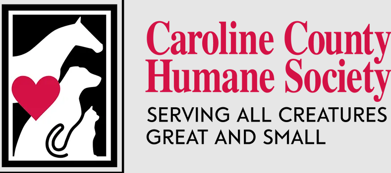 Screenshot 2026 04 14 131159