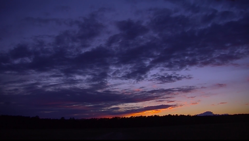 Dab83ace Fb20 4a40 B8c3 A039c99679b5