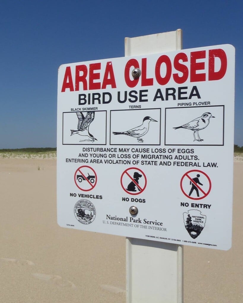 663296707 1277686804488295 4596373443575329093 N