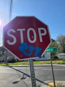 672671833 1529217045871524 2669982604688103652 N