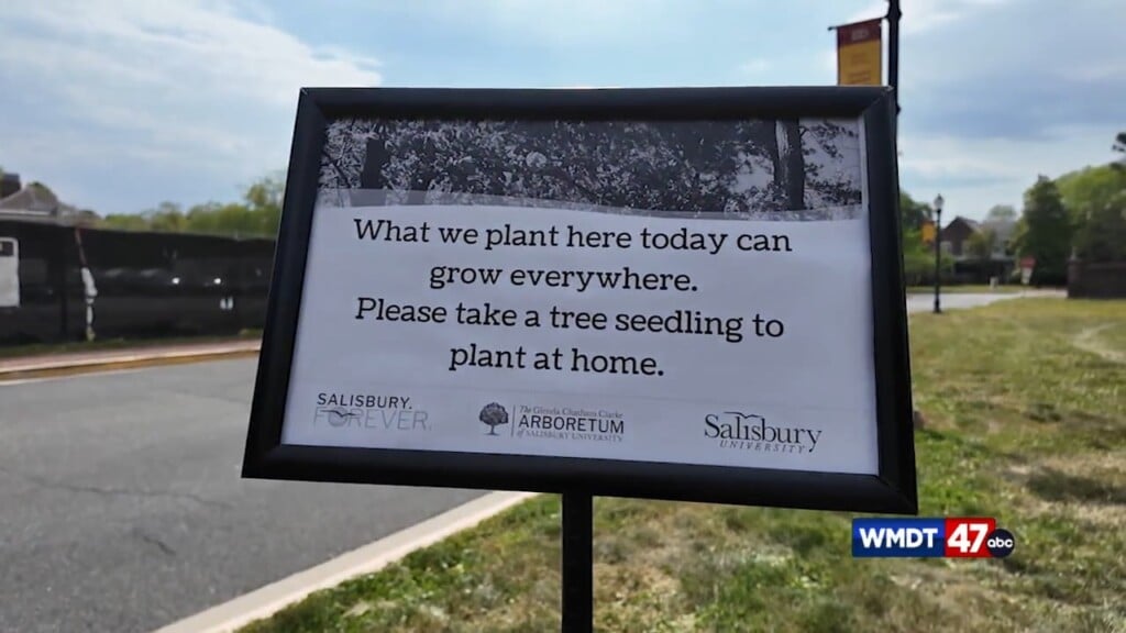 Su Centennial Tree Planting