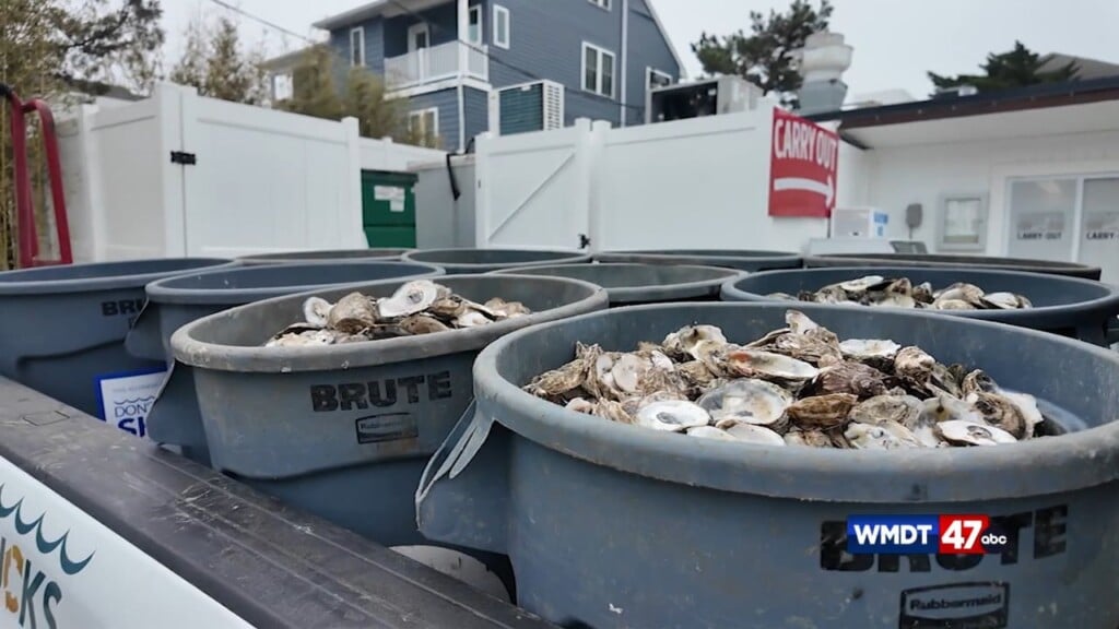 Don't Chuck Your Shucks