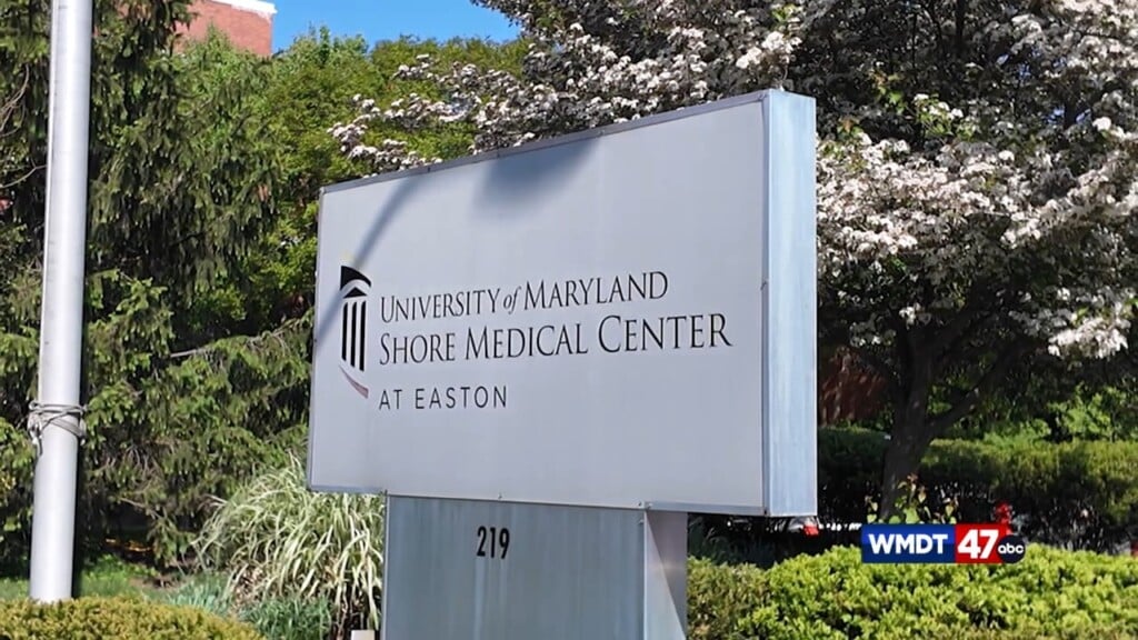 Feedback For Hospital Land