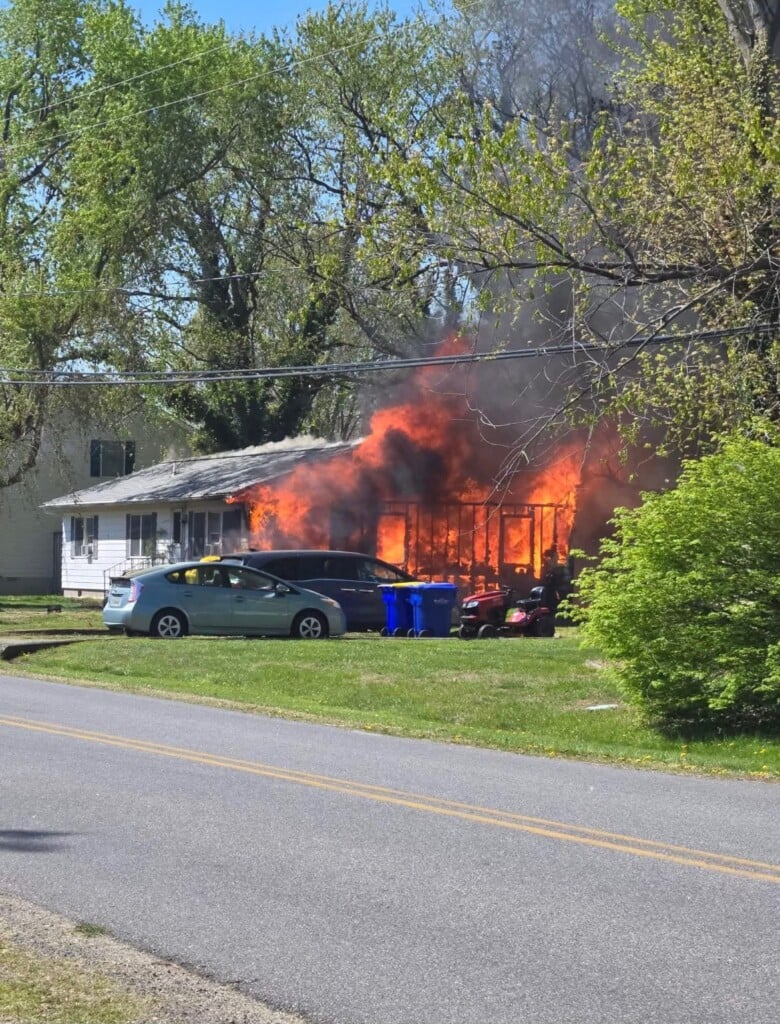 672455497 1362923655872074 8244350611733338238 N