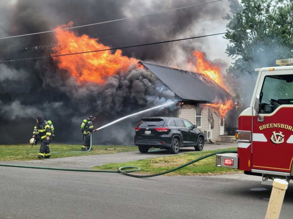 683016330 1442391397932733 8858569314705573934 N