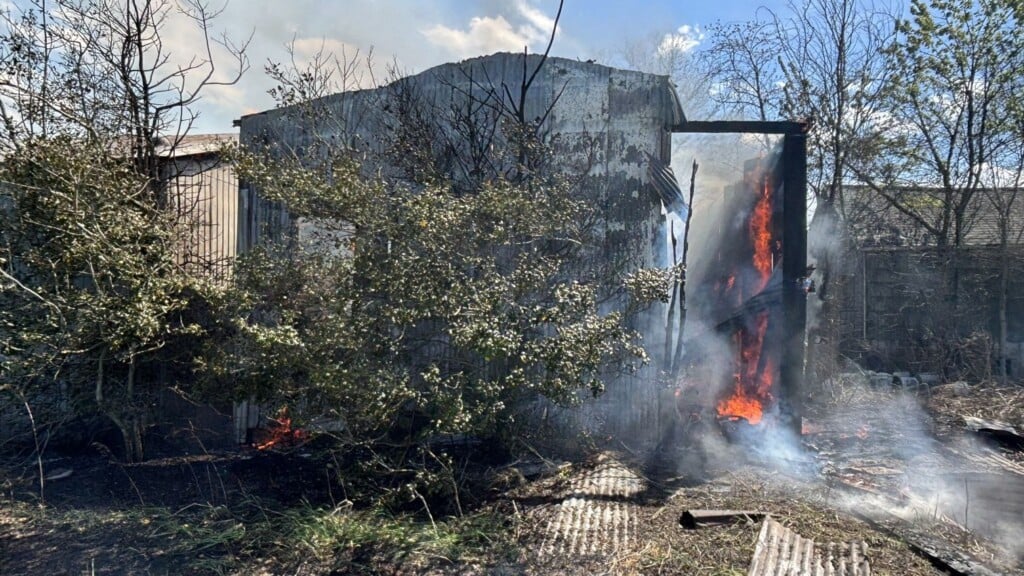 668250401 1342652647673052 7333429378706620112 N