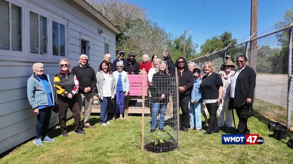 Md 250 Plants Heritage Trees
