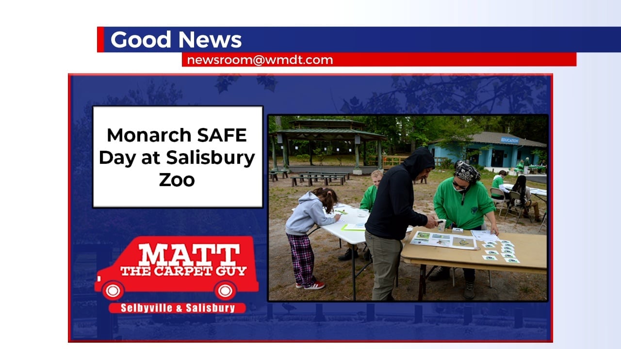 Salisbury Zoo Holds Monarch SAFE Day