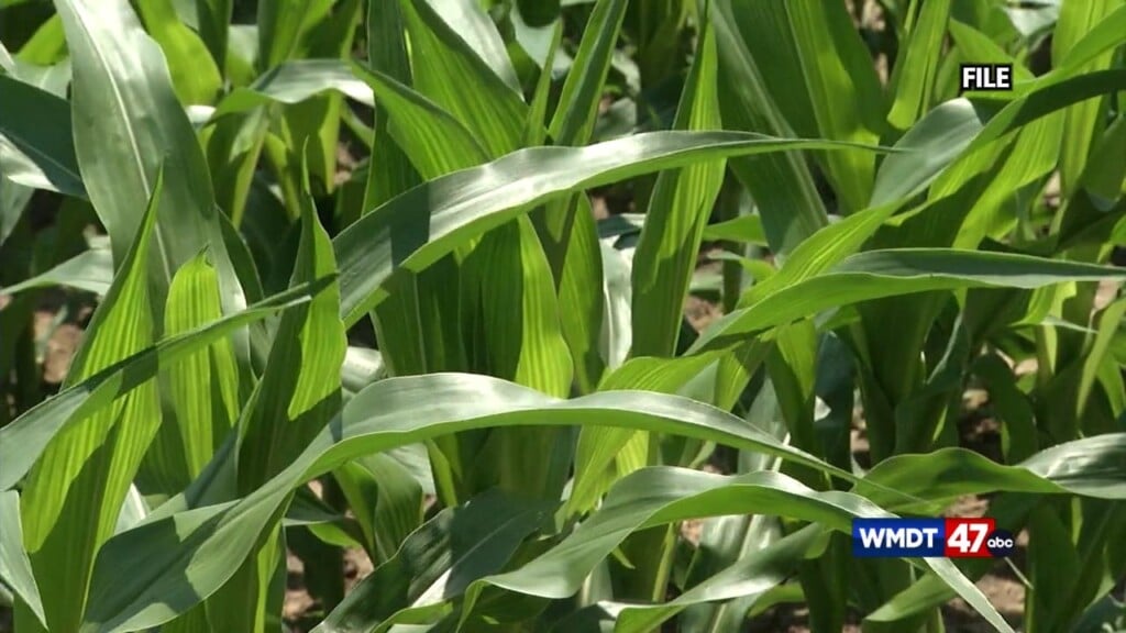 Natural Disasters Increasingly Impacting Food Supply