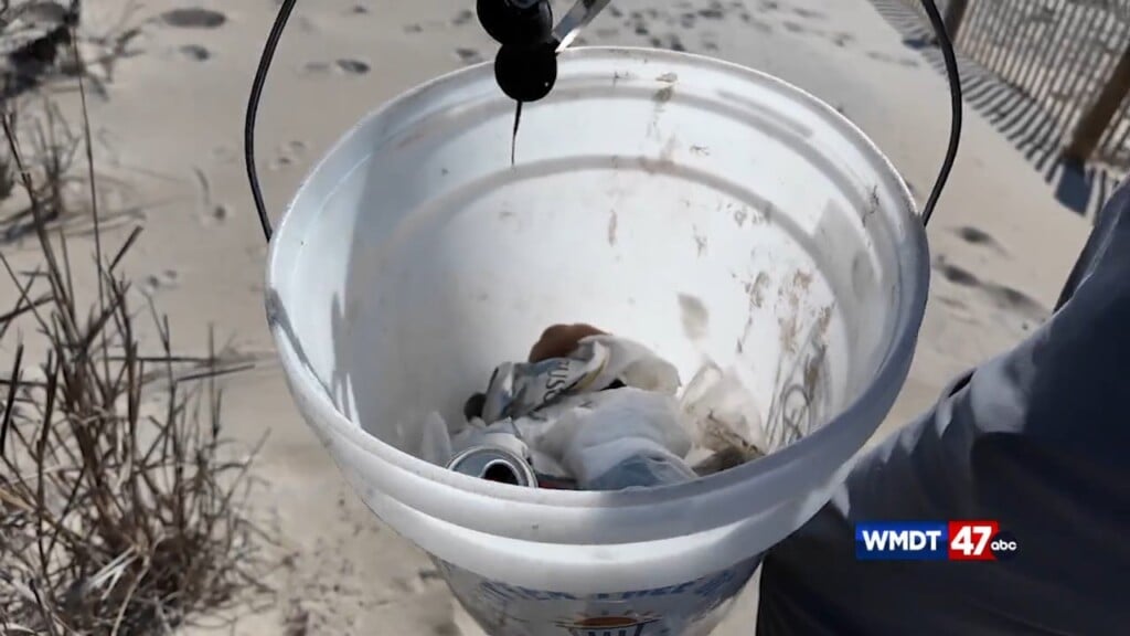 Beach Heros Clean Up The Beaches