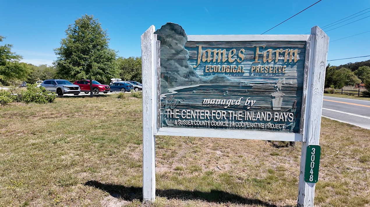 Discover Delmarva: James Farm Ecological Preserve