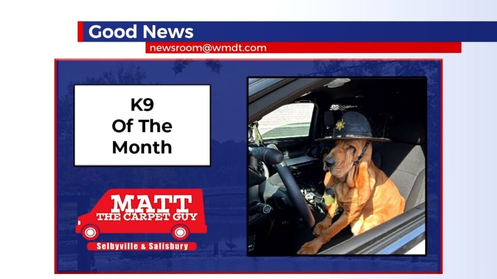 Good News 06/22/26