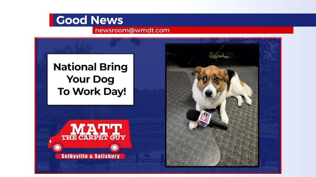 Good News 6/26/26