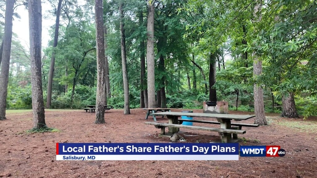 Fathers Day Plans