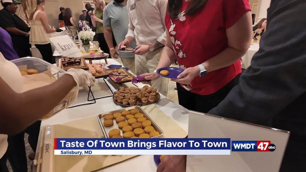 Shore To Shore: Taste Of Town
